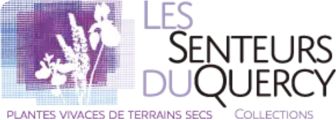 Logo 3